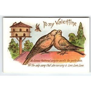 To My Valentine Postcard Morning Dove Birds Fred Lounsbury 1906 Camden NJ Adv.